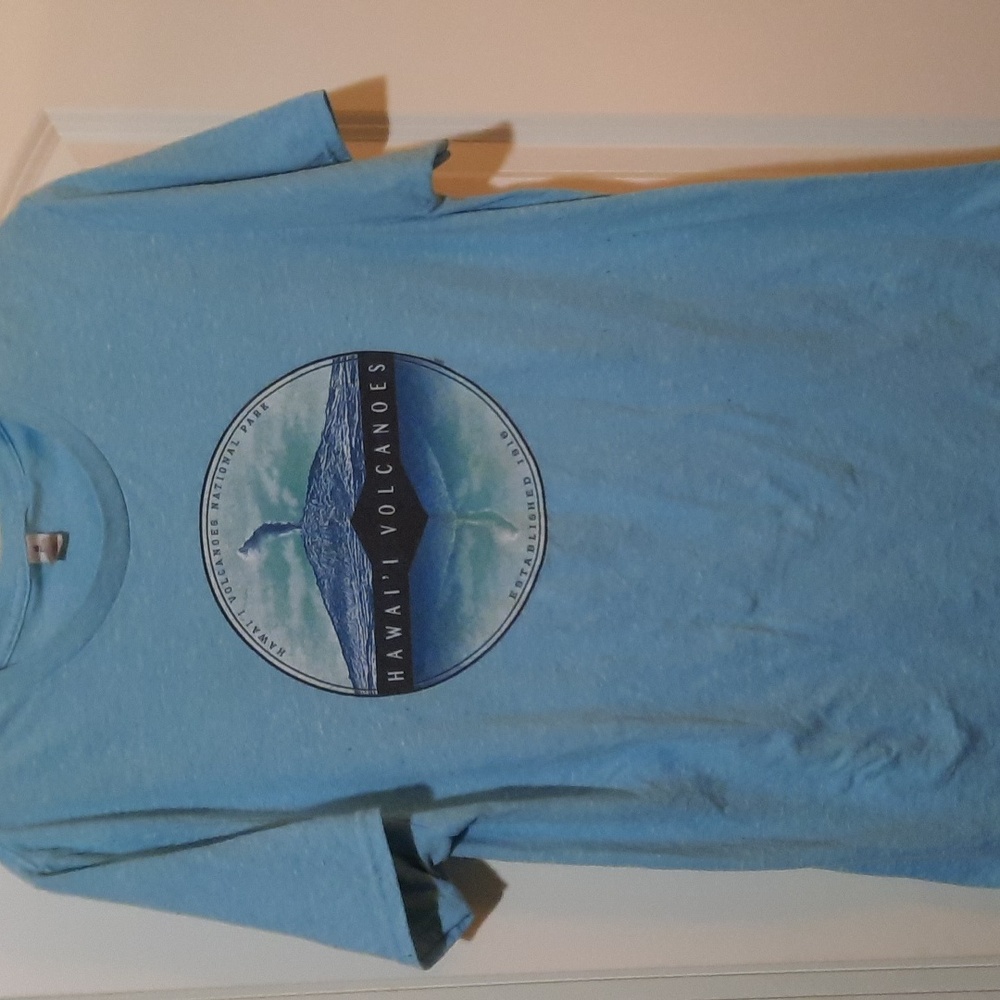 Blue Men's Hawai'i Volcanoes T-shirt